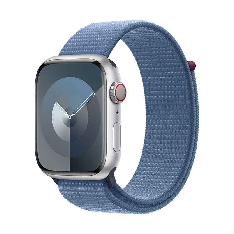 Apple Watch 9 GPS + Cell prateado, 45mm + Bracelete Loop azul